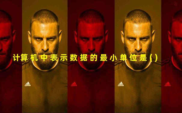 计算 机 中 表 示 数 据 的 最 小 单 位 是 ( )
